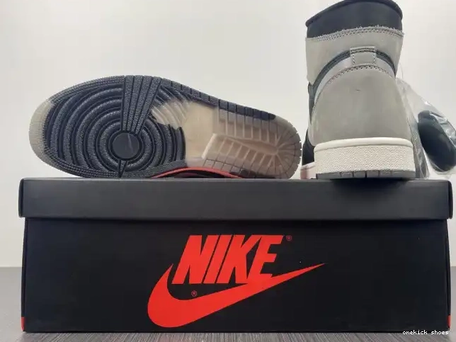 Rep Onekick Element Jordan High Gore-Tex DB2889-001 Retro 1 Grey Particle Black 0406
